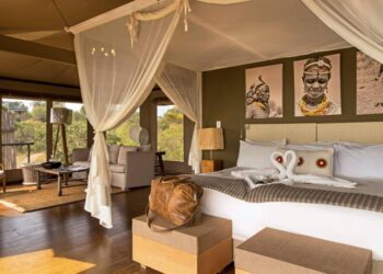 Luxury African Safari Vacation Packages | East African Safari