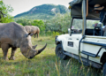 Luxury African Safari Packages