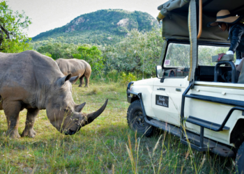 Luxury African Safari Packages