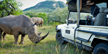 Luxury African Safari Packages