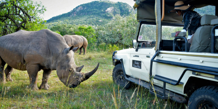 Luxury African Safari Packages