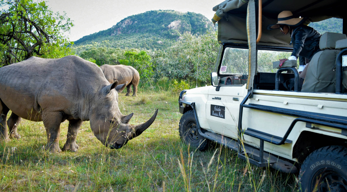Luxury African Safari Packages Luxury African Safari Packages